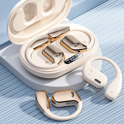 TEHRAN Wireless Bluetooth 5.3 Earphones, Built in Mic with LED Display Charging Case, Earbuds